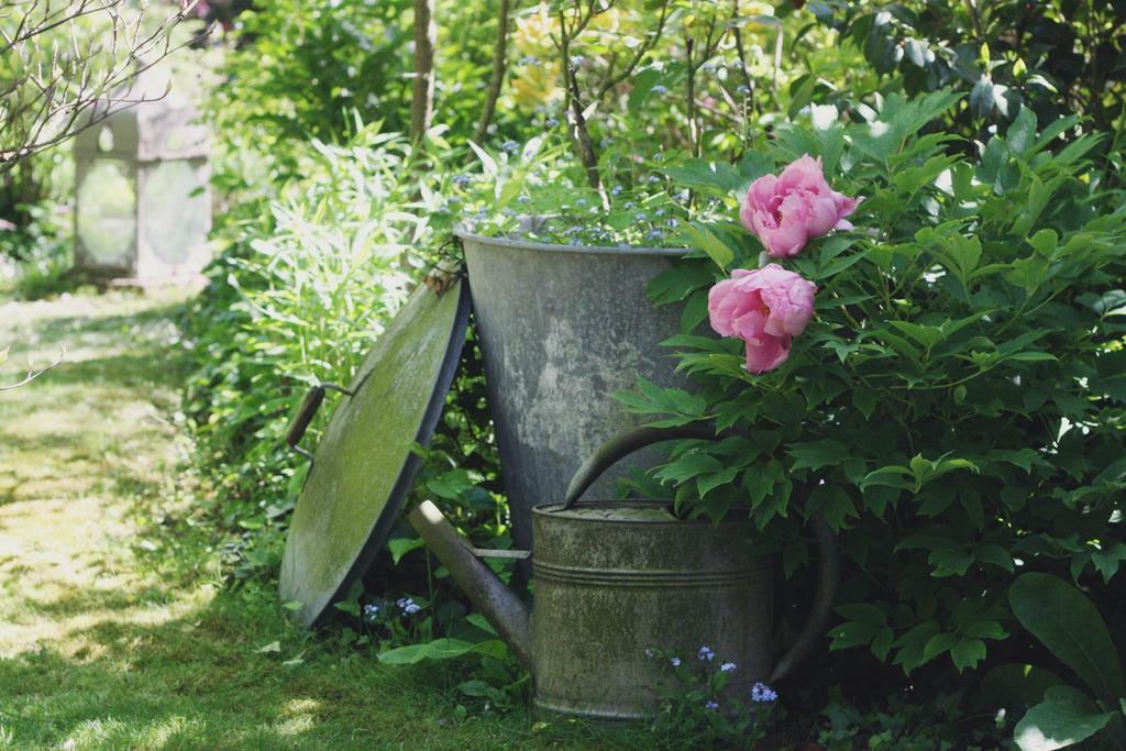 Le Bonheur A La Campagne Bed & Breakfast Lesmont Bagian luar foto