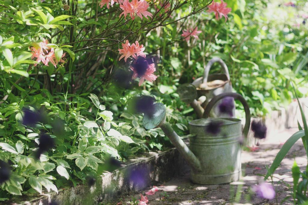 Le Bonheur A La Campagne Bed & Breakfast Lesmont Bagian luar foto