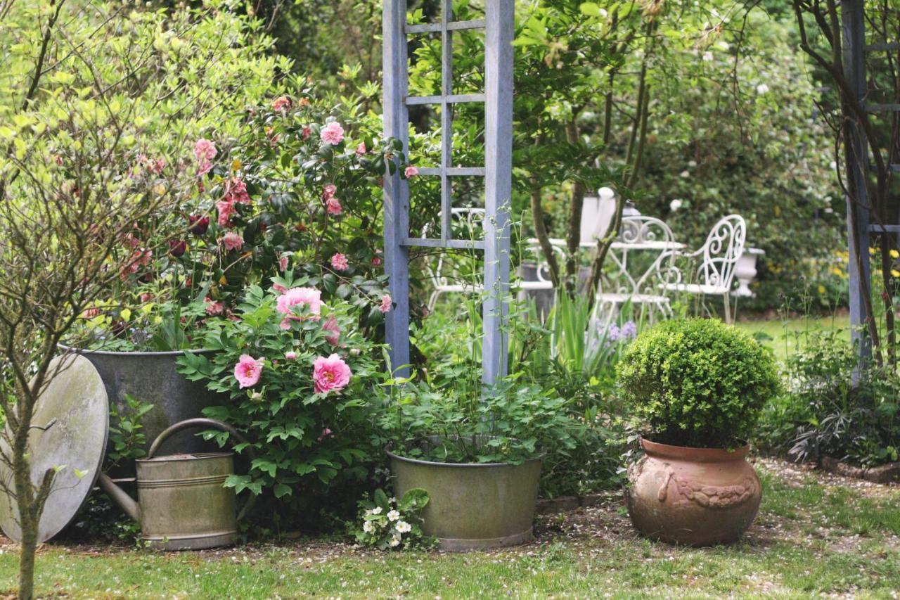 Le Bonheur A La Campagne Bed & Breakfast Lesmont Bagian luar foto